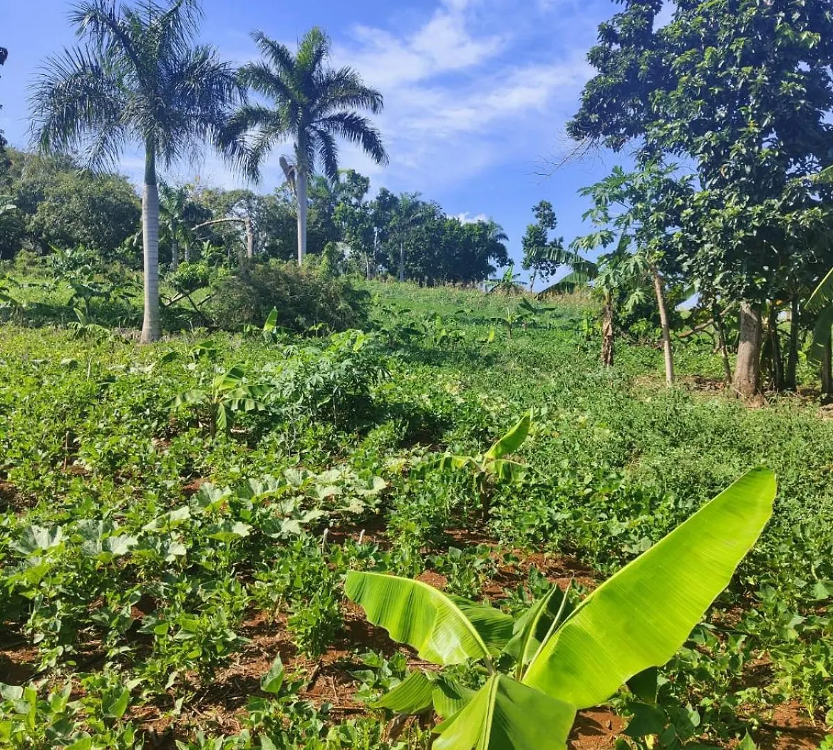 Casitas Rincon Village Samana Villa